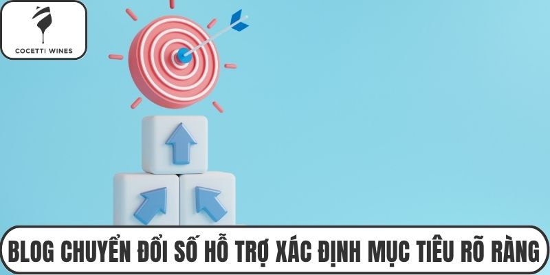 Tổng hợp các chuyên mục nổi bật của blog