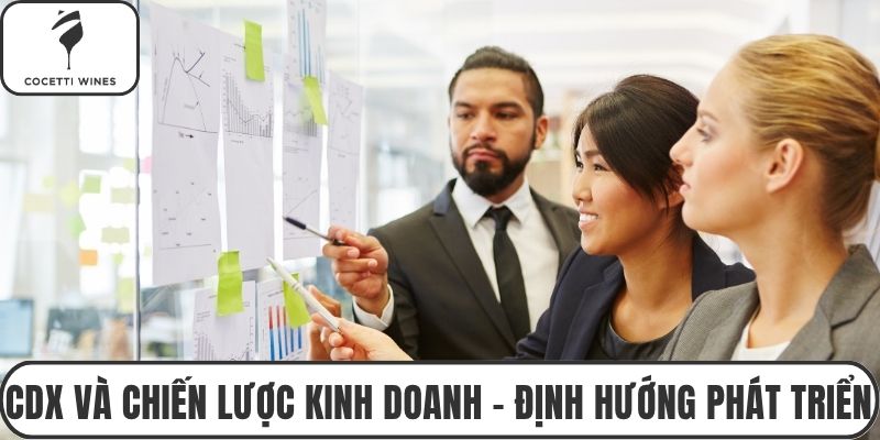 CDX và chiến lược kinh doanh