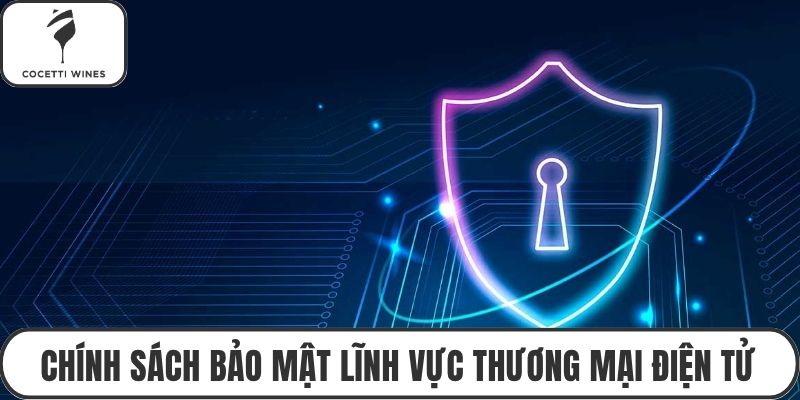Chính sách bảo mật lĩnh vực thương mại điện tử
