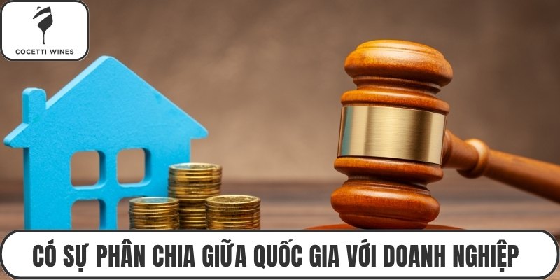 Có sự phân chia giữa quốc gia với doanh nghiệp