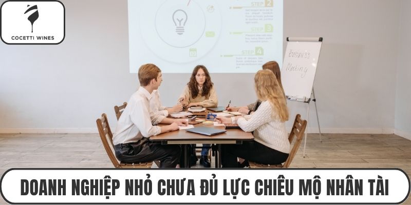 Doanh nghiệp nhỏ chưa đủ lực chiêu mộ nhân tài