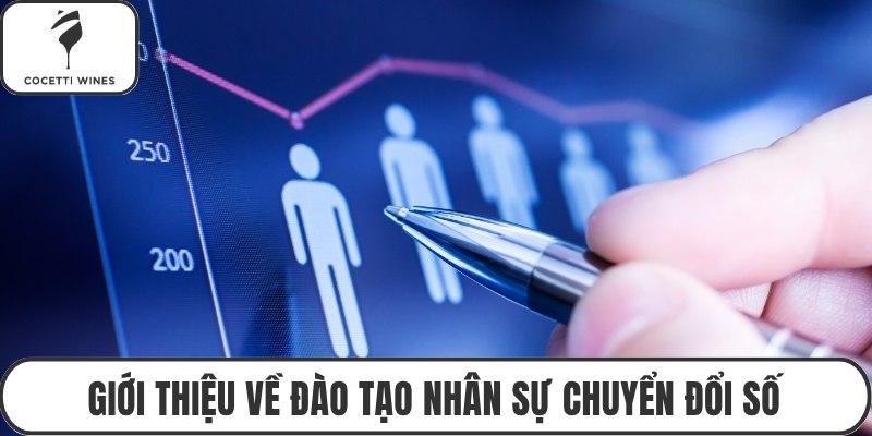 Giới thiệu về đào tạo nhân sự chuyển đổi số
