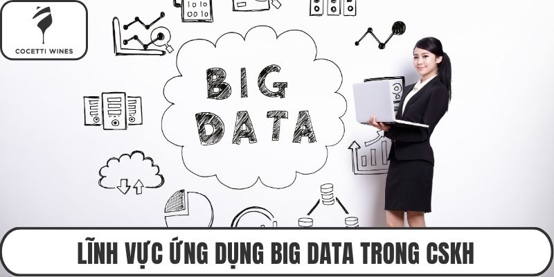 Lĩnh vực ứng dụng big data trong CSKH