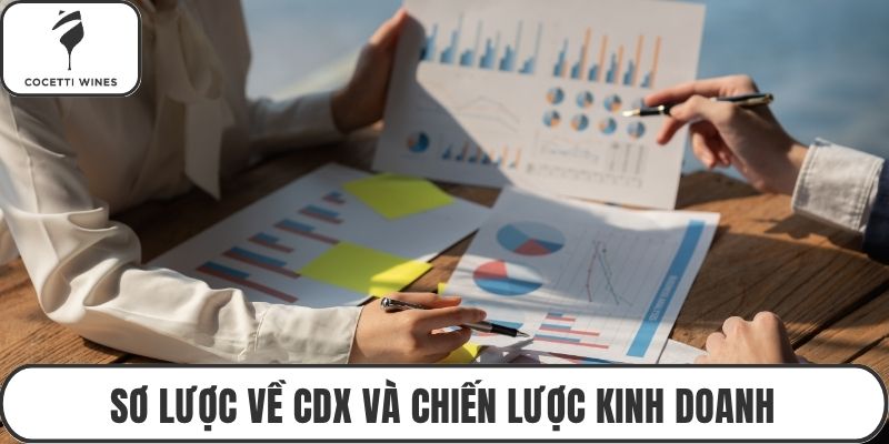 Sơ lược về CDX và chiến lược kinh doanh