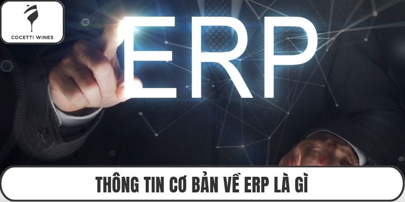 Thông tin cơ bản về ERP là gì