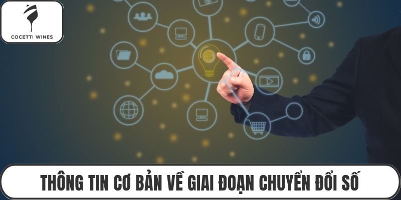 Thông tin cơ bản về giai đoạn chuyển đổi số