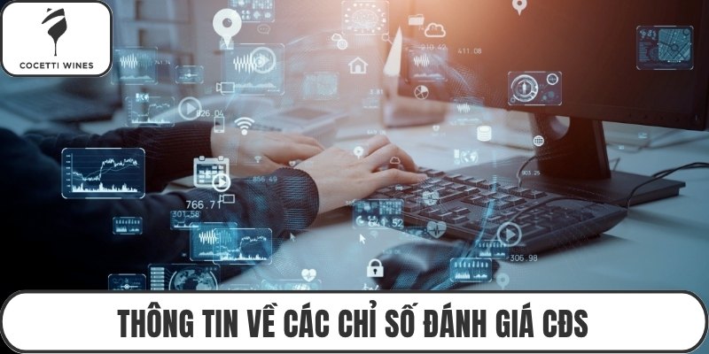 Thông tin về các chỉ số đánh giá CĐS